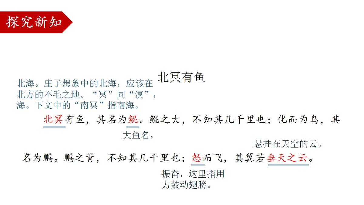 18507823第8页