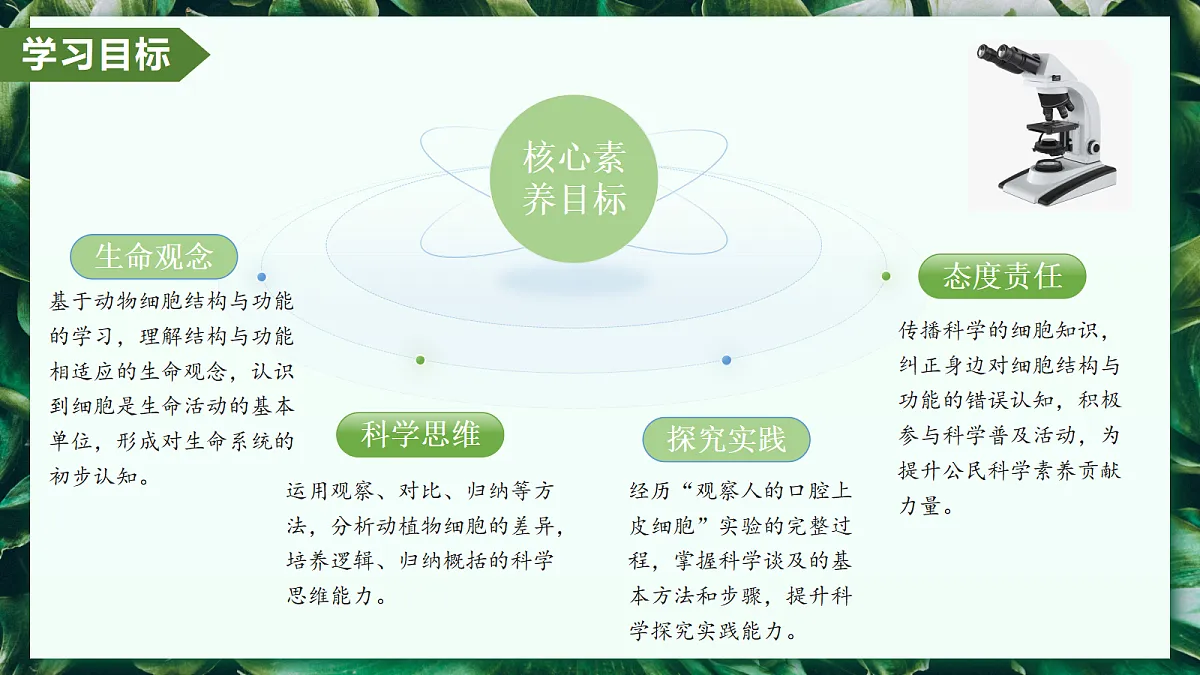 1.2.3 动物细胞 - 初中生物七年级上册 同步教学课件（人教版2024）第3页
