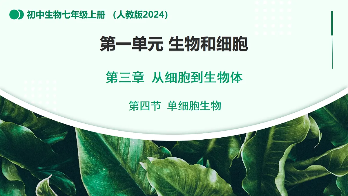 1.3.4 单细胞生物 - 初中生物七年级上册 同步教学课件（人教版2024）第1页