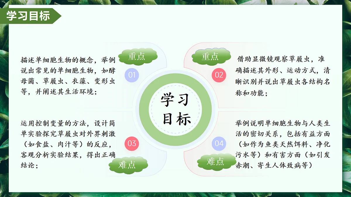 1.3.4 单细胞生物 - 初中生物七年级上册 同步教学课件（人教版2024）第2页