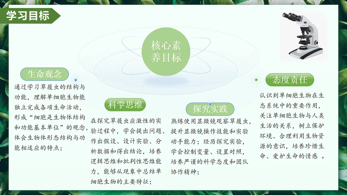 1.3.4 单细胞生物 - 初中生物七年级上册 同步教学课件（人教版2024）第3页