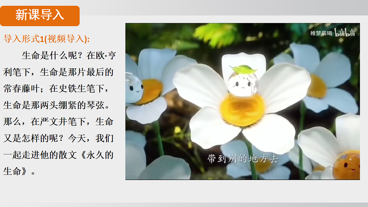 18508295第4页