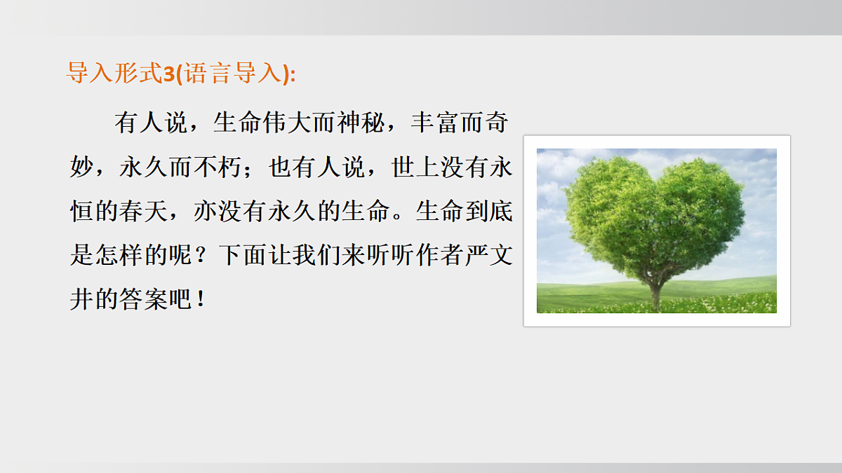 18508295第6页