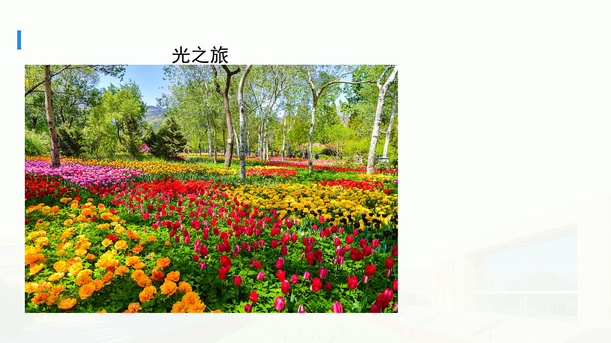18511491第2页