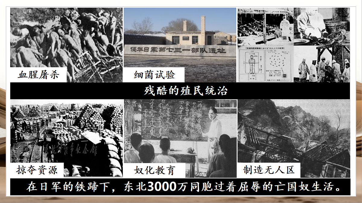 人教部编版历史八上 第16课《从九一八事变到西安事变》课件第8页