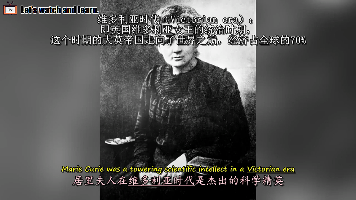 18511607第3页