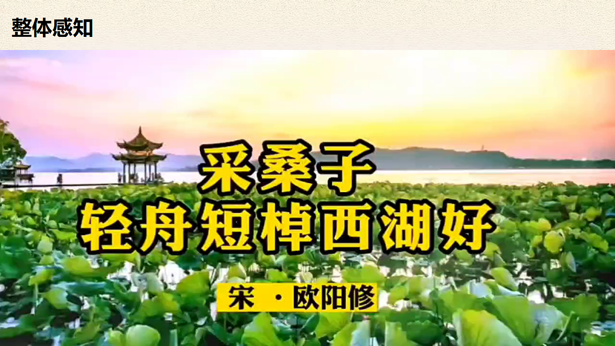 18513426第7页