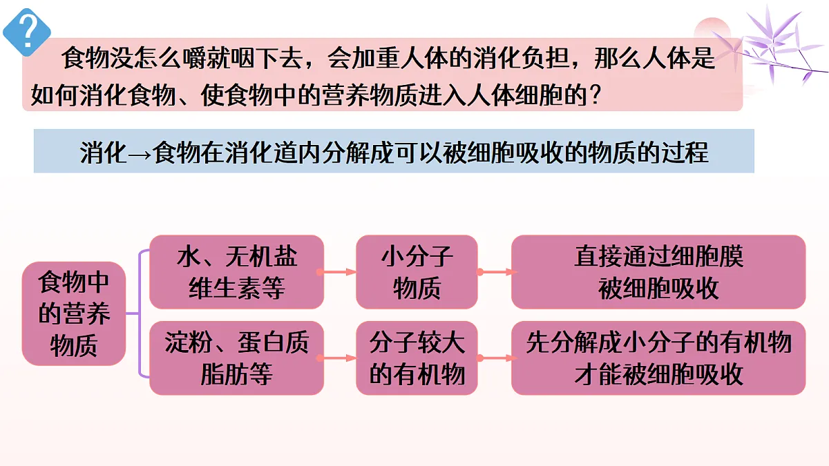 18514164第3页