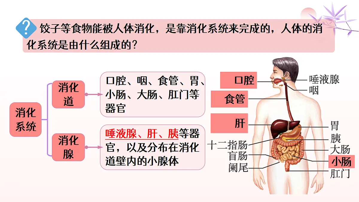 18514164第4页