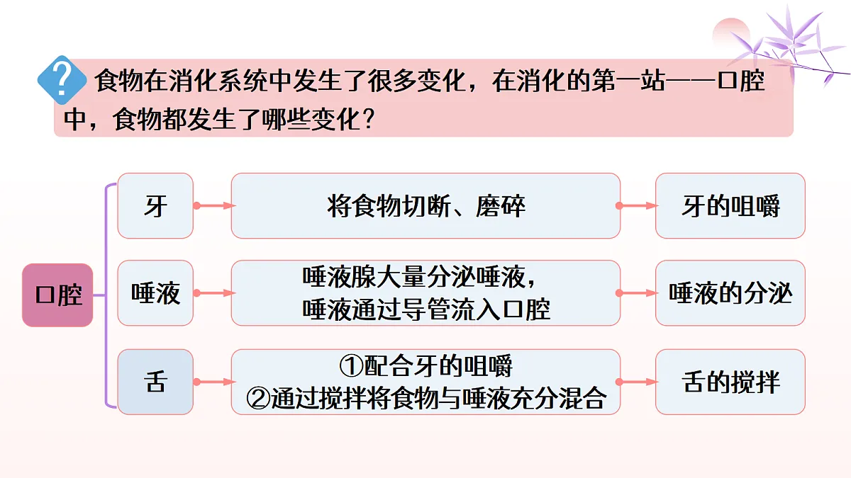18514164第5页