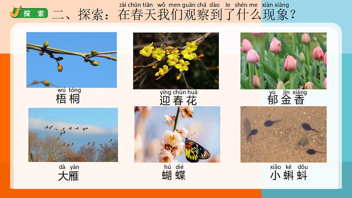18515160第4页