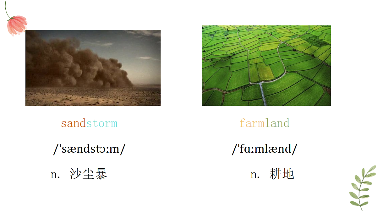 18517028第4页
