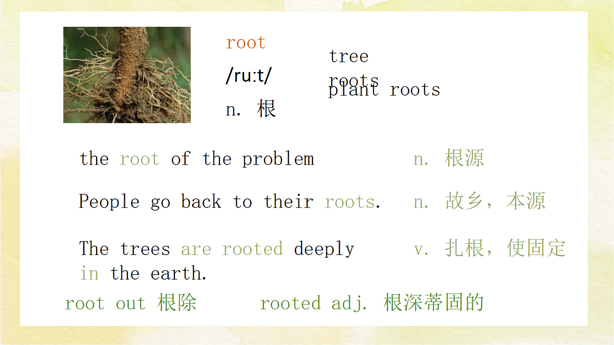 18517028第8页