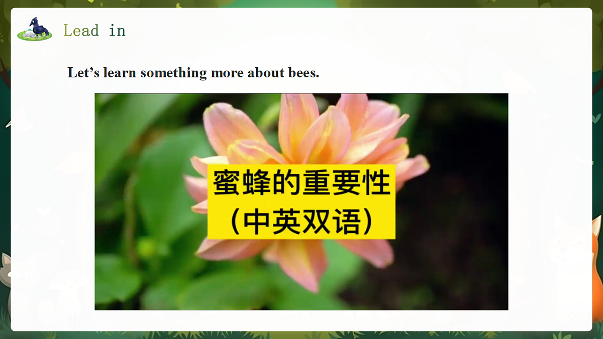 人教2024初中英语八年级上册Unit4Amazing Plants and Animals SectionB1a-1f课件第4页