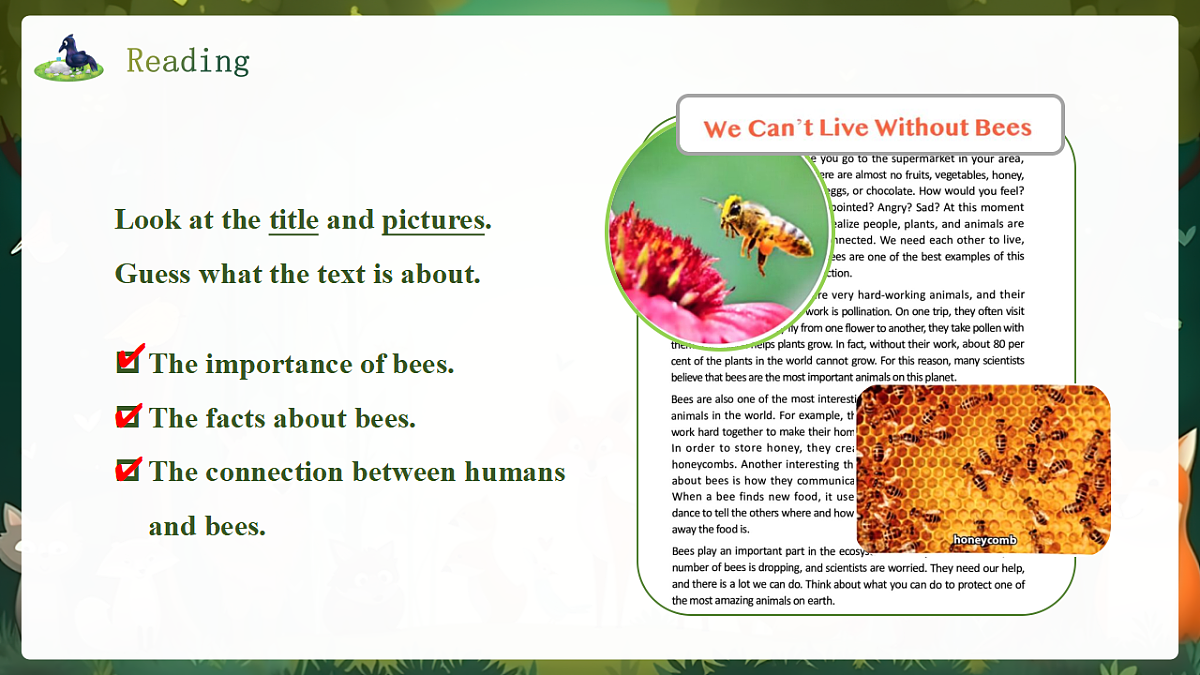 人教2024初中英语八年级上册Unit4Amazing Plants and Animals SectionB1a-1f课件第5页