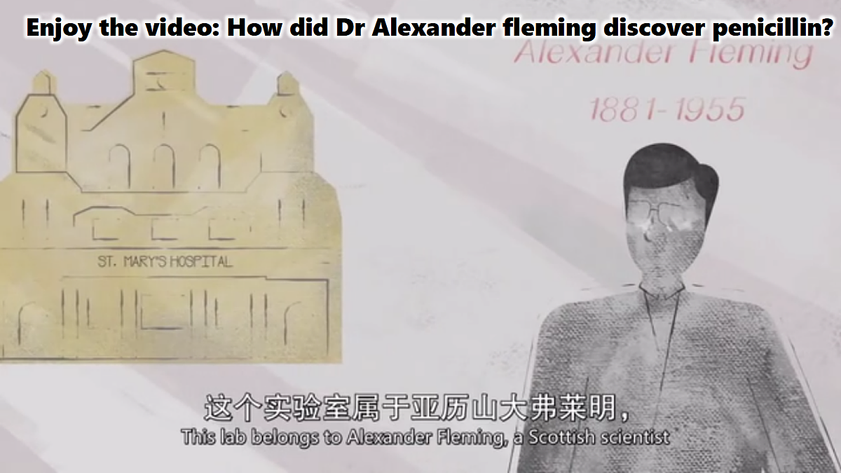 18517598第5页