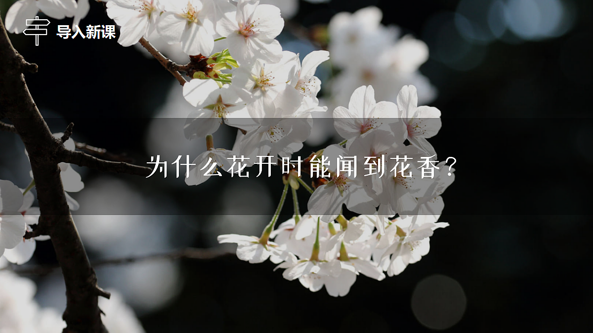18517862第2页