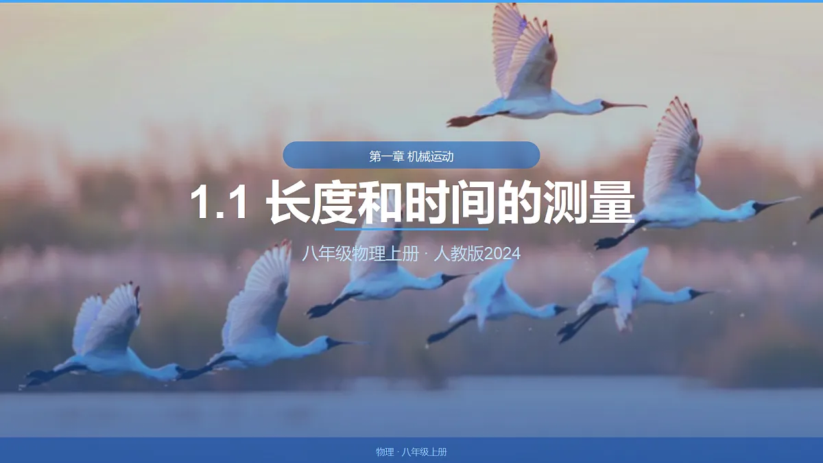 18518165第1页