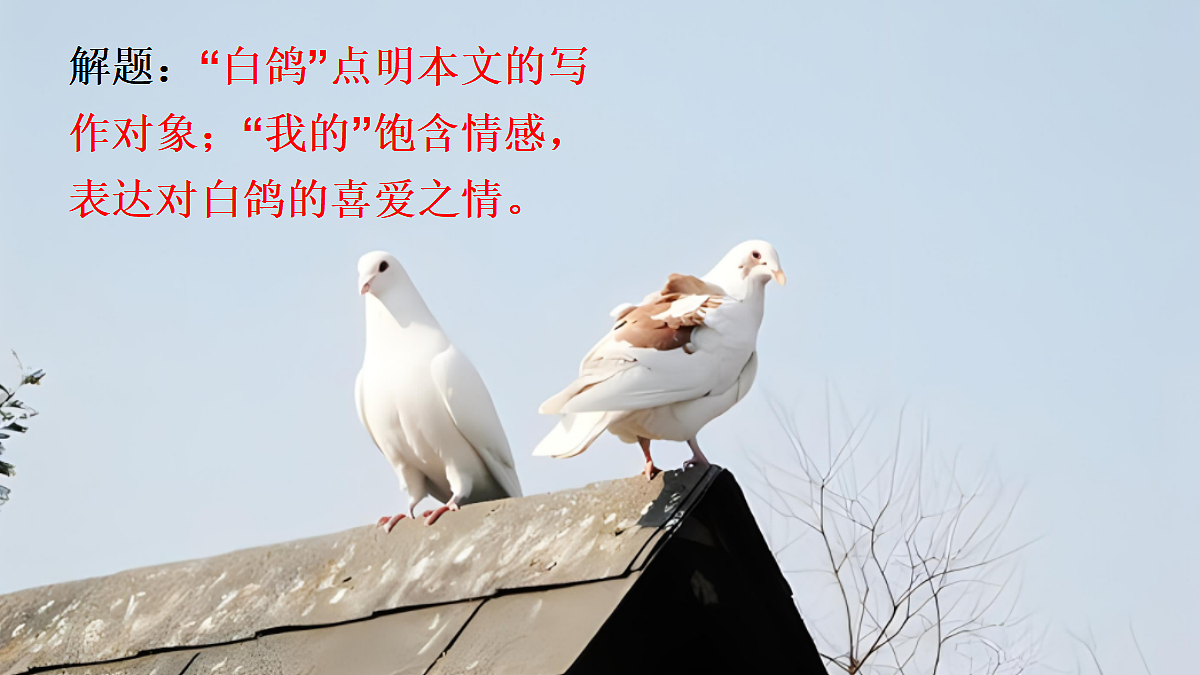 18519386第2页