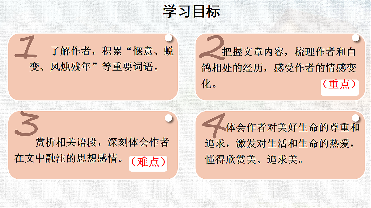 18519386第3页