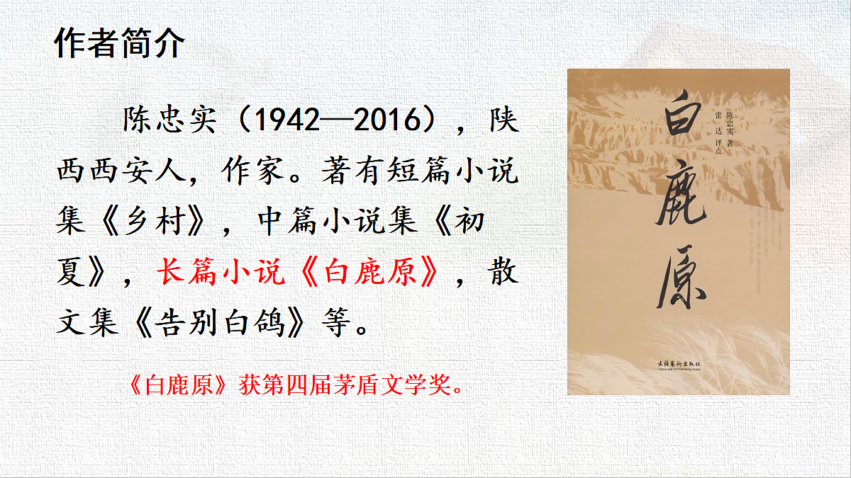 18519386第4页
