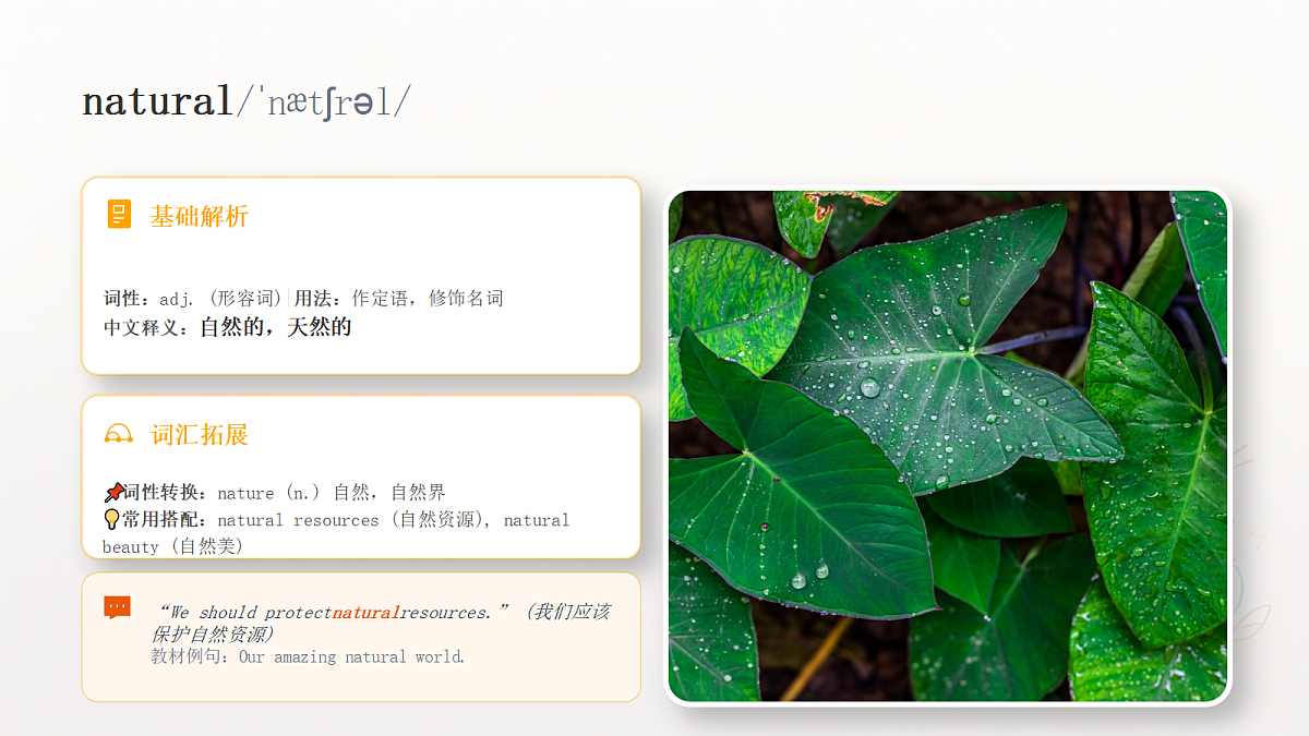 18519444第7页