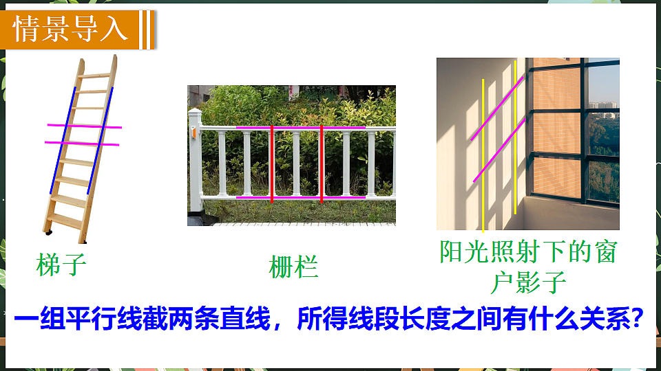 18519494第2页