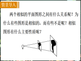 华东师大版（2024）数学九年级上册 22．2　相似图形（课件)