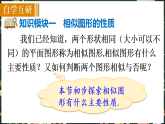 华东师大版（2024）数学九年级上册 22．2　相似图形（课件)