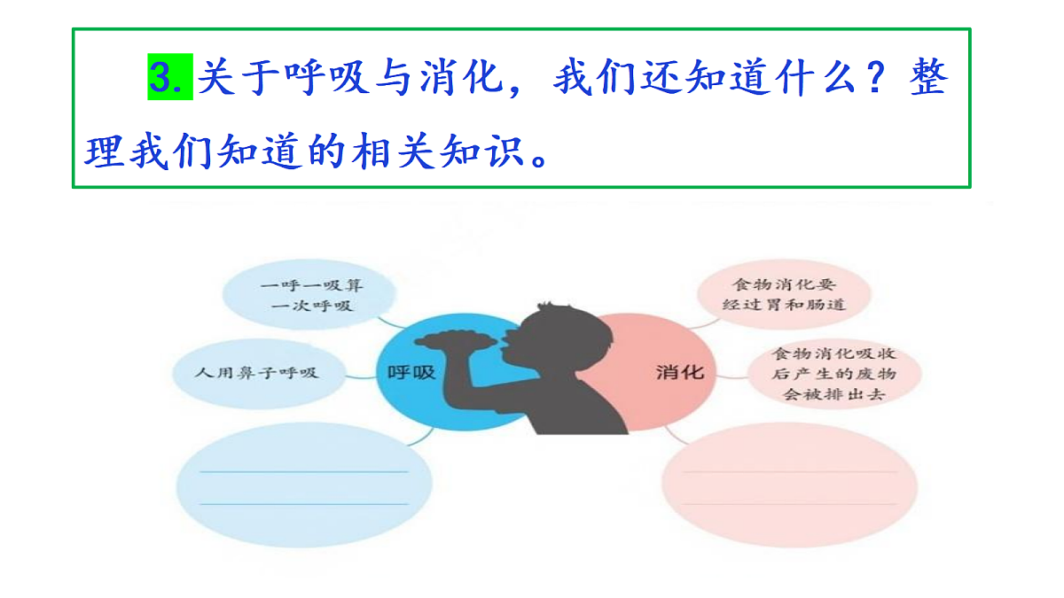 2.1《我们的呼吸与消化》教学课件第8页