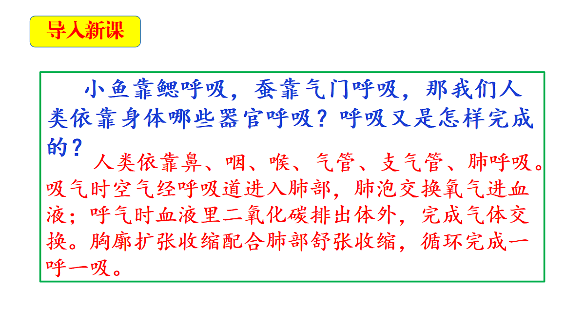2.2《认识呼吸器官》教学课件第4页