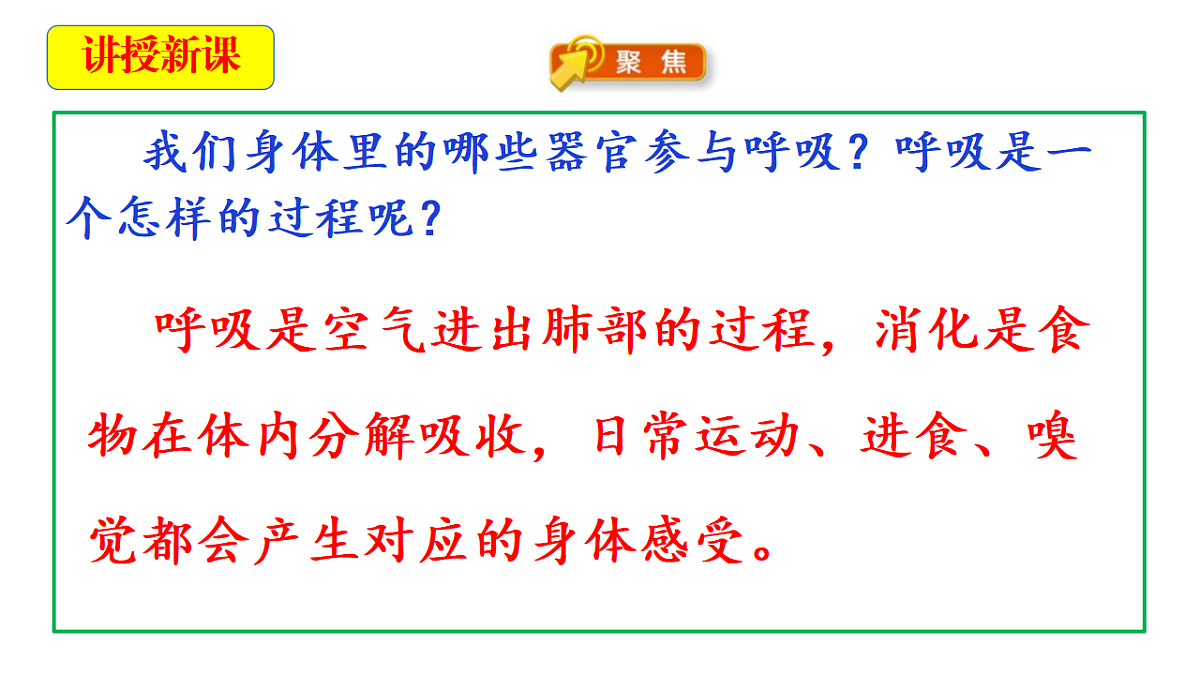 2.2《认识呼吸器官》教学课件第6页