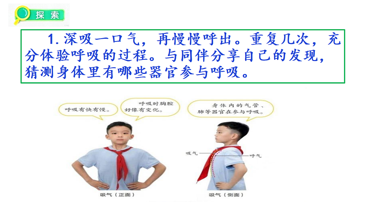 2.2《认识呼吸器官》教学课件第7页