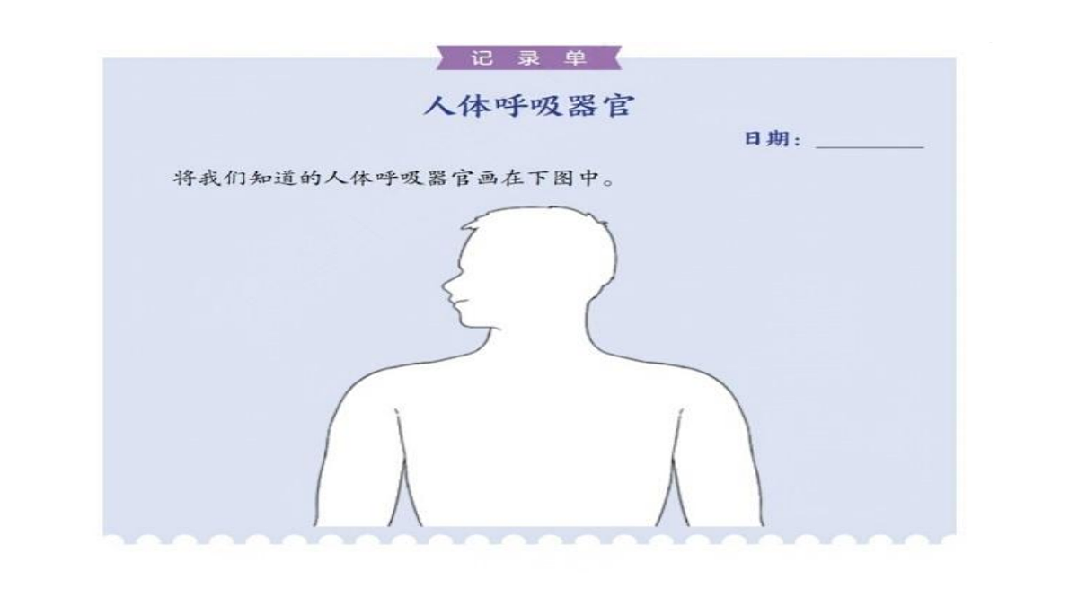 2.2《认识呼吸器官》教学课件第8页