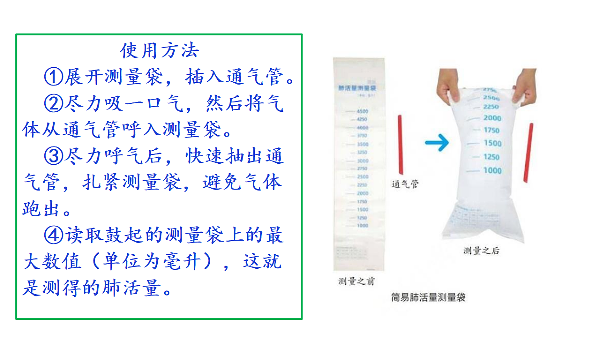 2.4《测量肺活量》教学课件第7页