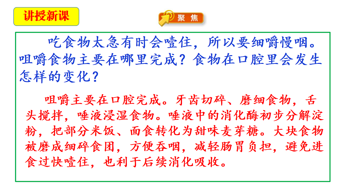 2.5《口腔里的消化》教学课件第5页
