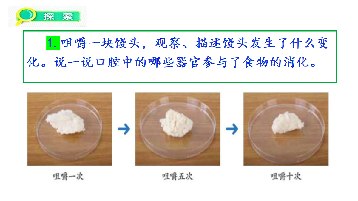 2.5《口腔里的消化》教学课件第7页