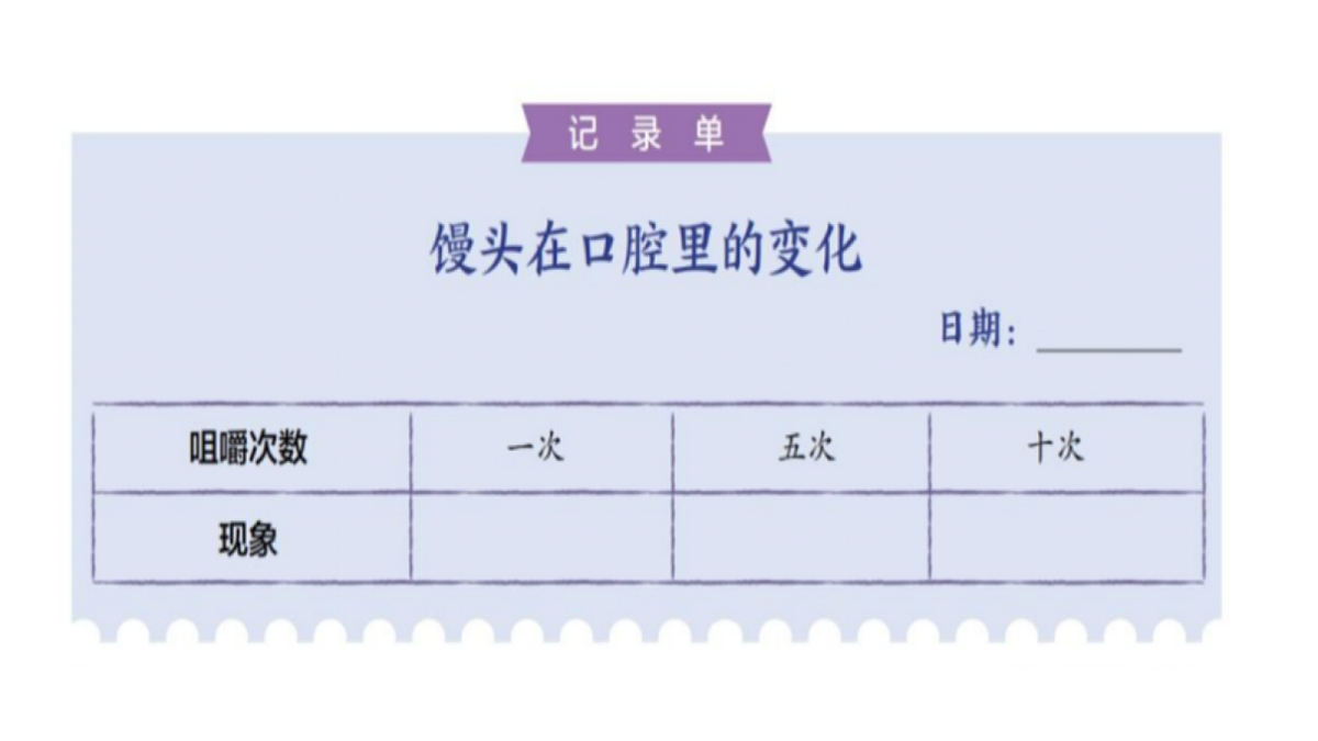 2.5《口腔里的消化》教学课件第8页