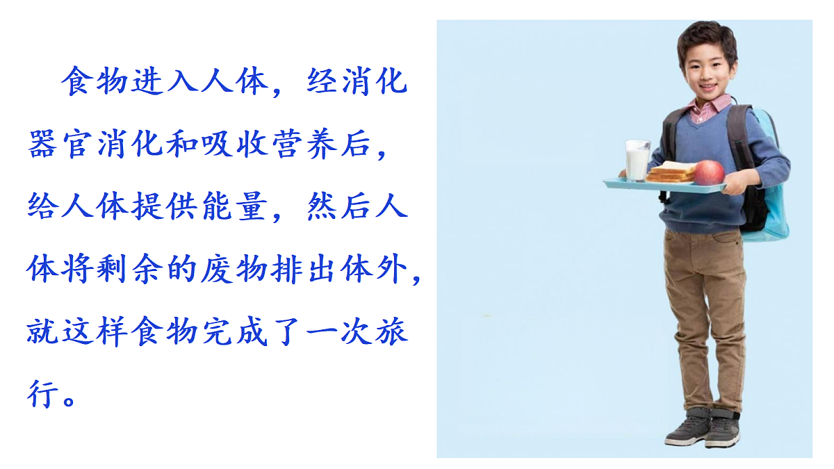 2.7《食物在身体里的旅行》教学课件第2页