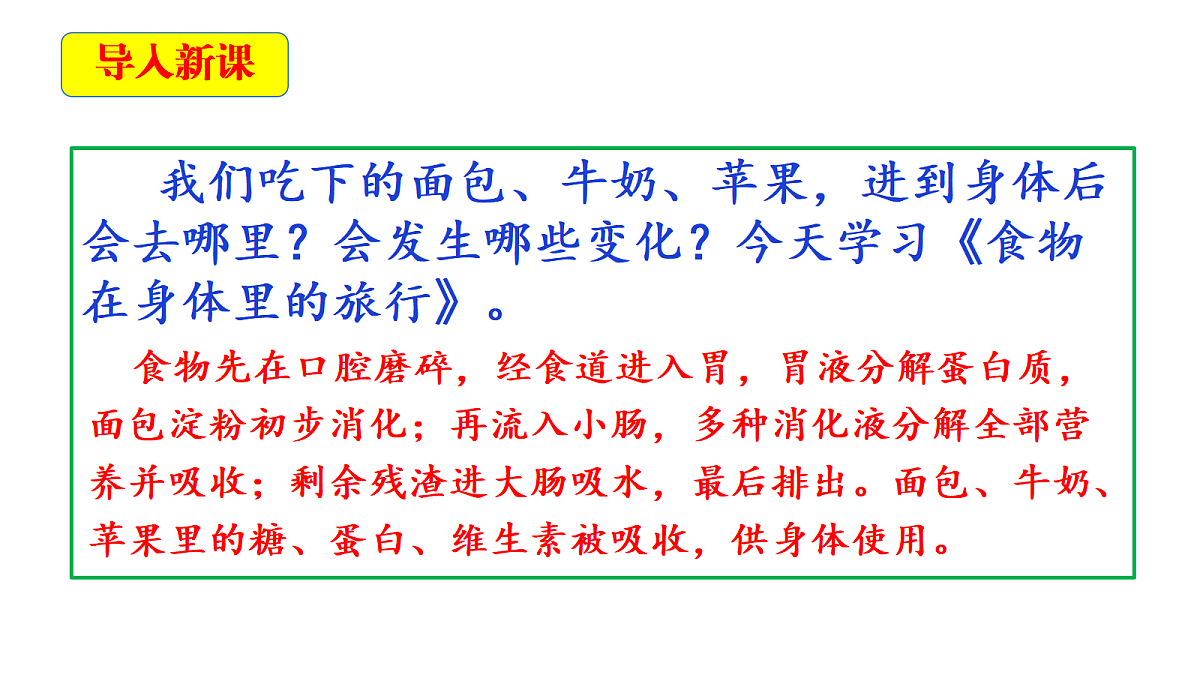 2.7《食物在身体里的旅行》教学课件第4页