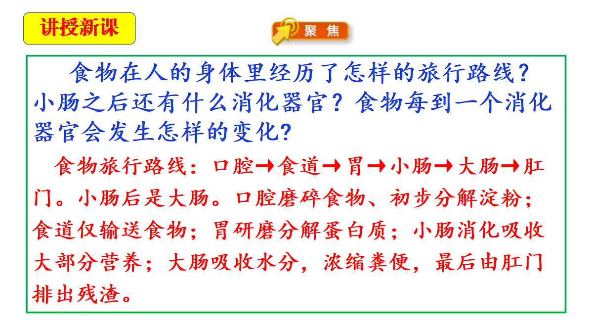2.7《食物在身体里的旅行》教学课件第5页