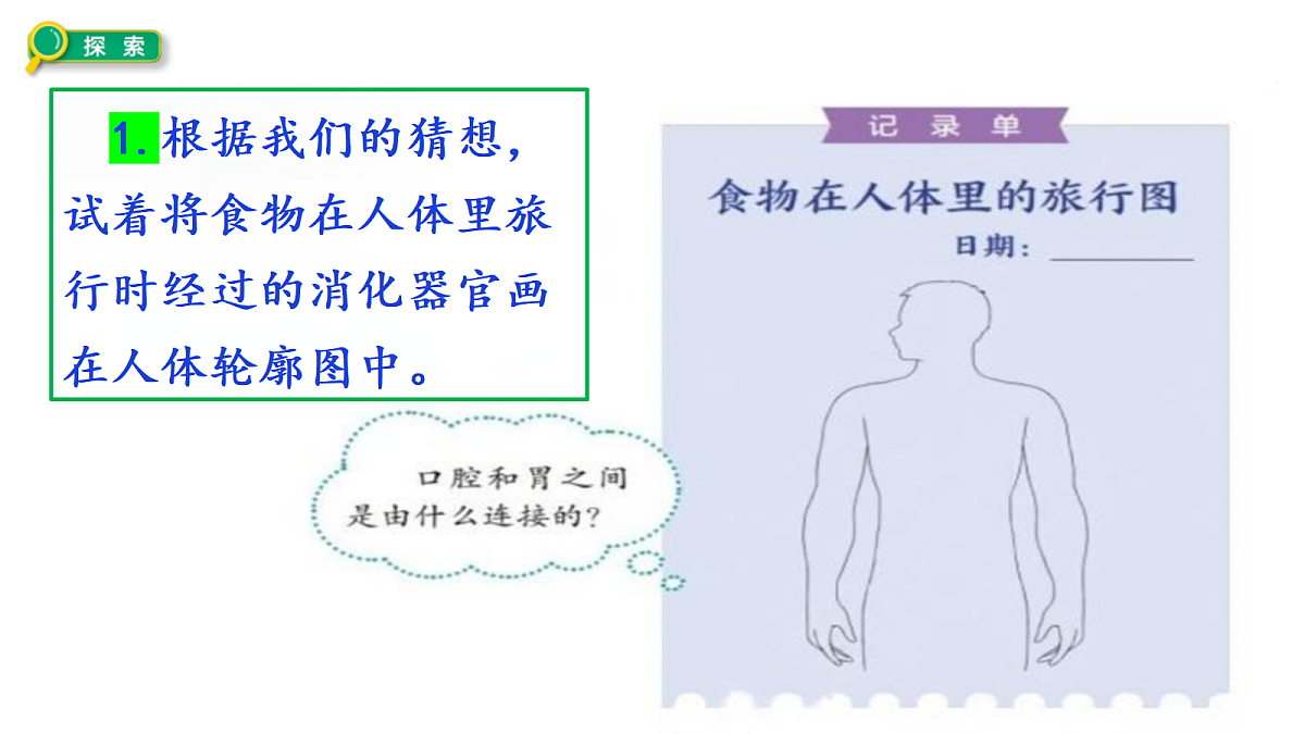 2.7《食物在身体里的旅行》教学课件第6页