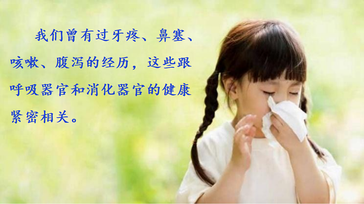 2.8《呵护我们的器官》教学课件第2页