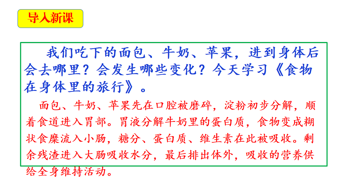 2.8《呵护我们的器官》教学课件第4页