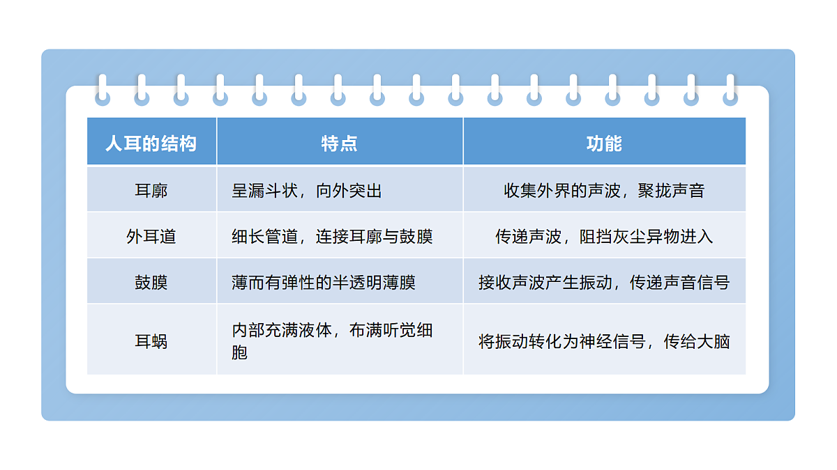 3.8《保护听力》教学课件第8页