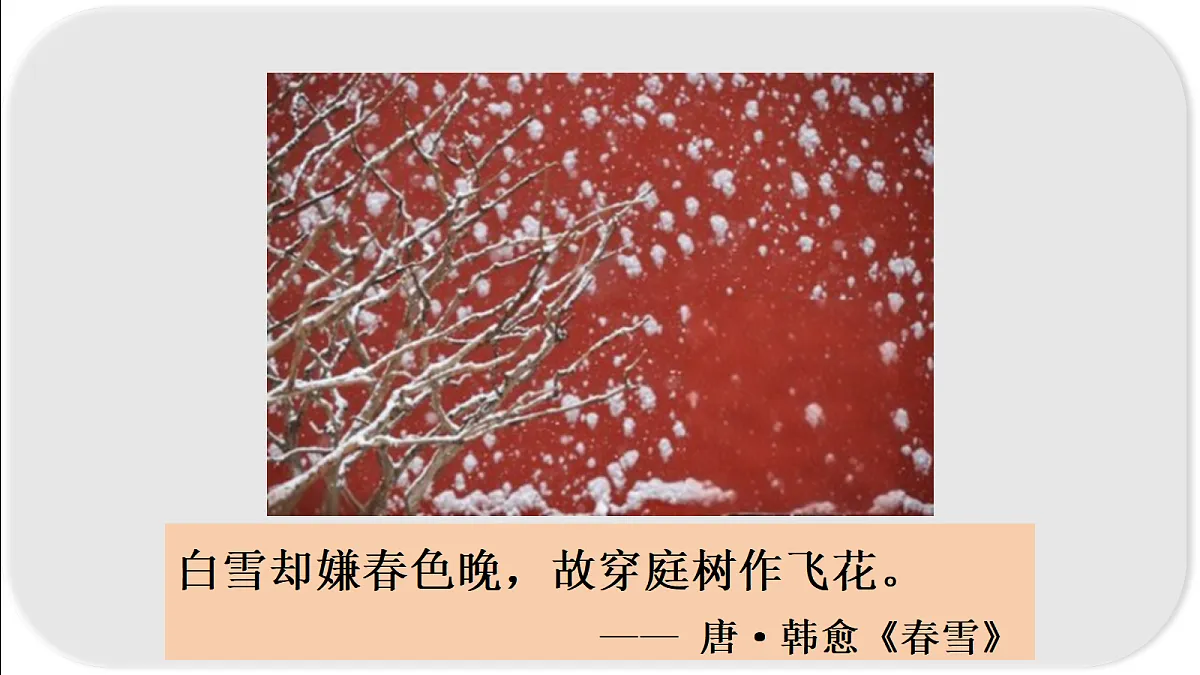 18522868第5页