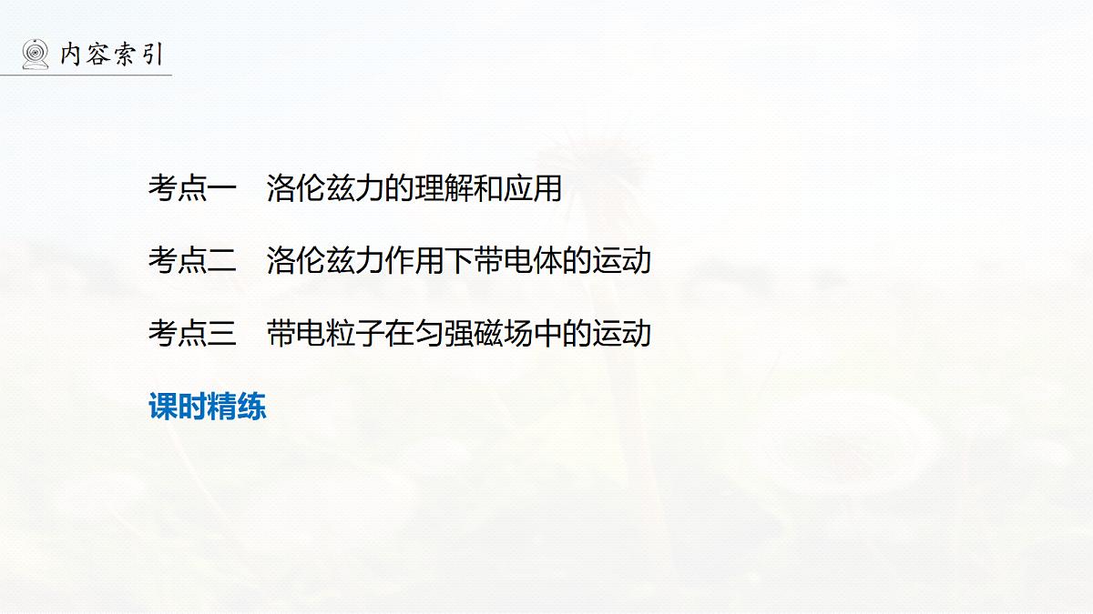 第十一章　第57课时　磁场对运动电荷(带电体)的作用第4页