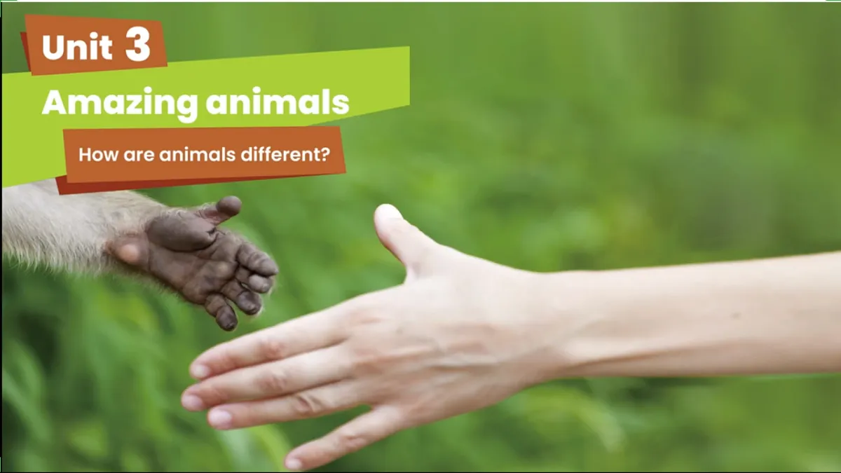 英语人教版(PEP)三年级上册 Unit 3 Our animal friends Lesson 1 Let's talk第3页