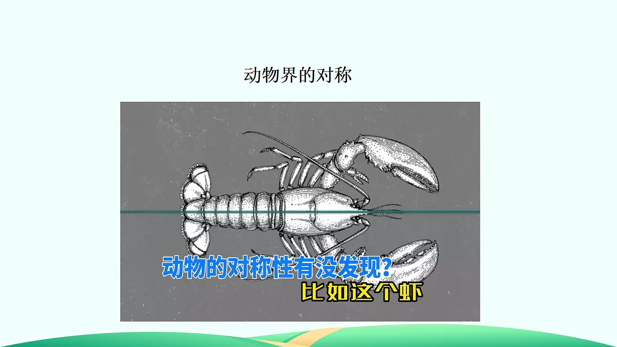 18526757第5页