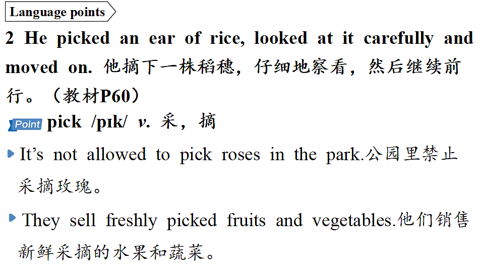 2.Developing ideas第6页